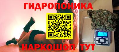 гашик Свободный