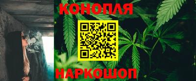 гашик Свободный