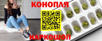 гашик Свободный