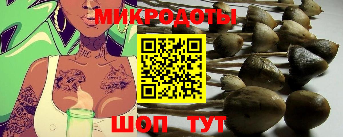 Саранск  Галлюциногенные грибы прущие грибы  Вход с VPN 