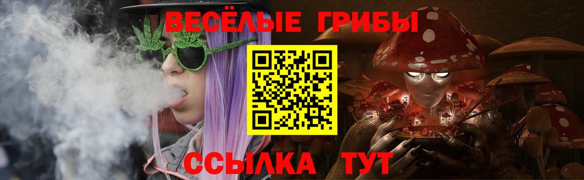 Галлюциногенные грибы мицелий Саранск